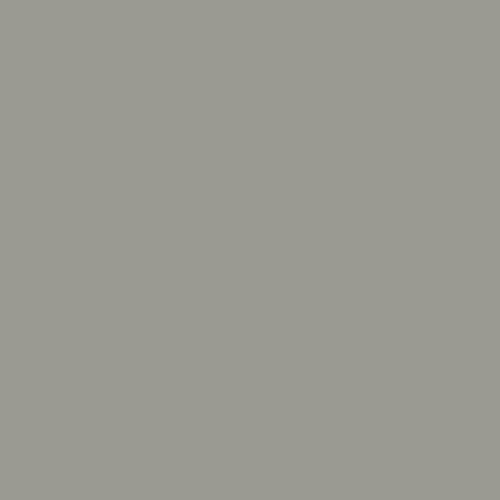 Grey - 200157008