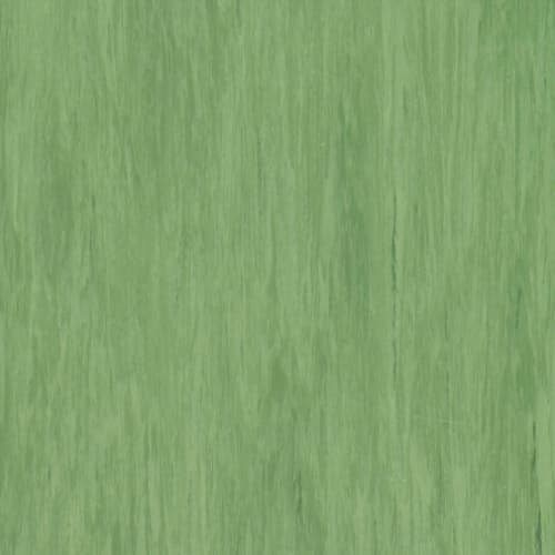 Dark Green 921