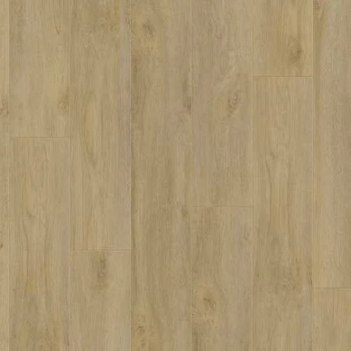 Premium-Oak-Nature