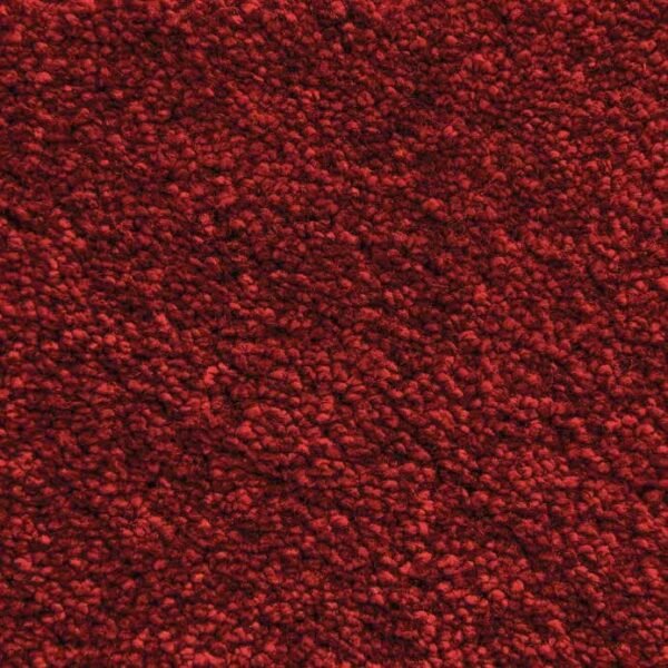 Berry-20