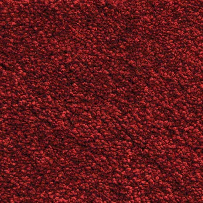Berry-20