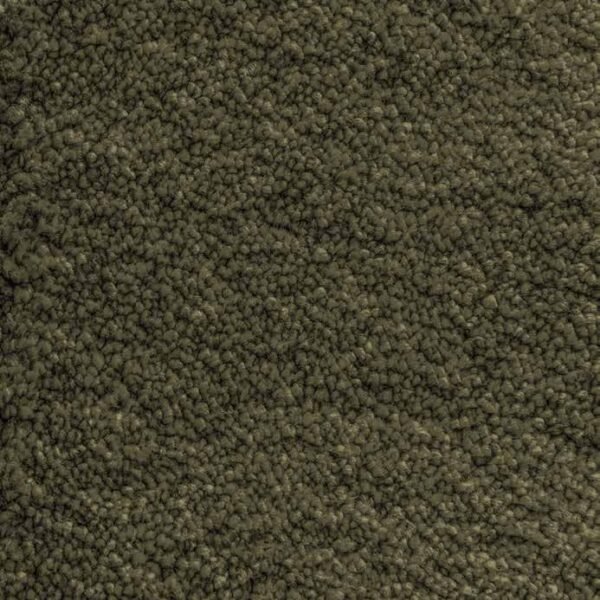 Forest-Green-240