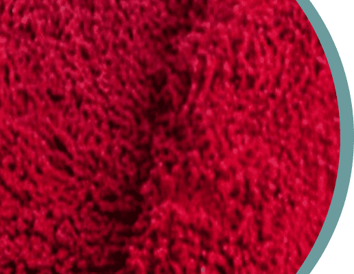 Red carpet installation dubai