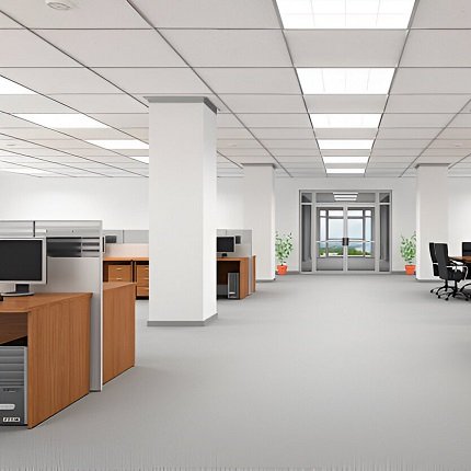 Office Carpet