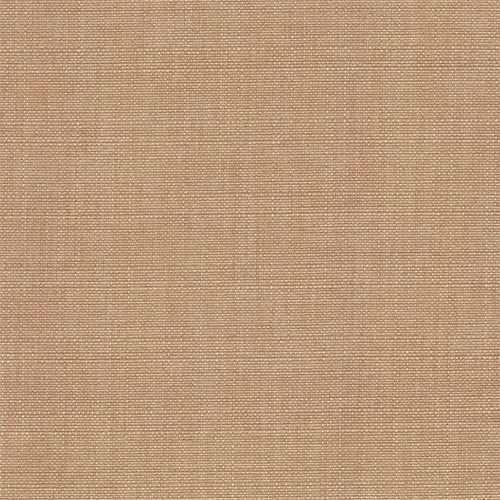 AG 5026010026