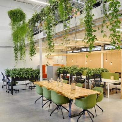 Biophilic Design