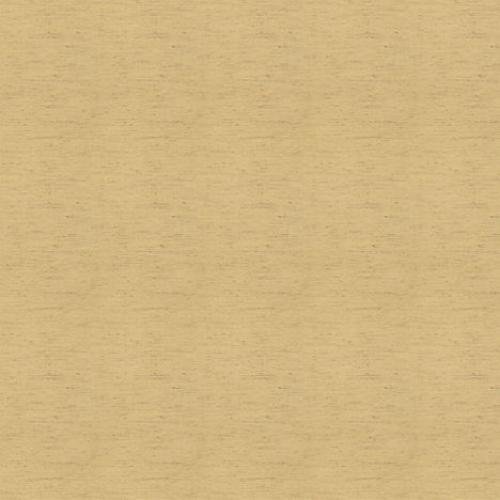 ( Folio Kinsey Dijon ) i8