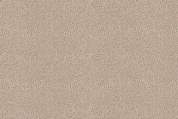 (Meraki Taupe) i8
