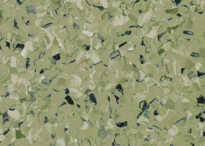 (IQ Toro 3093 576) MS